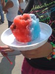 SF 2010 - Sno Cone