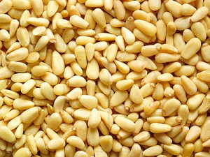 Pine Nuts Close Up
